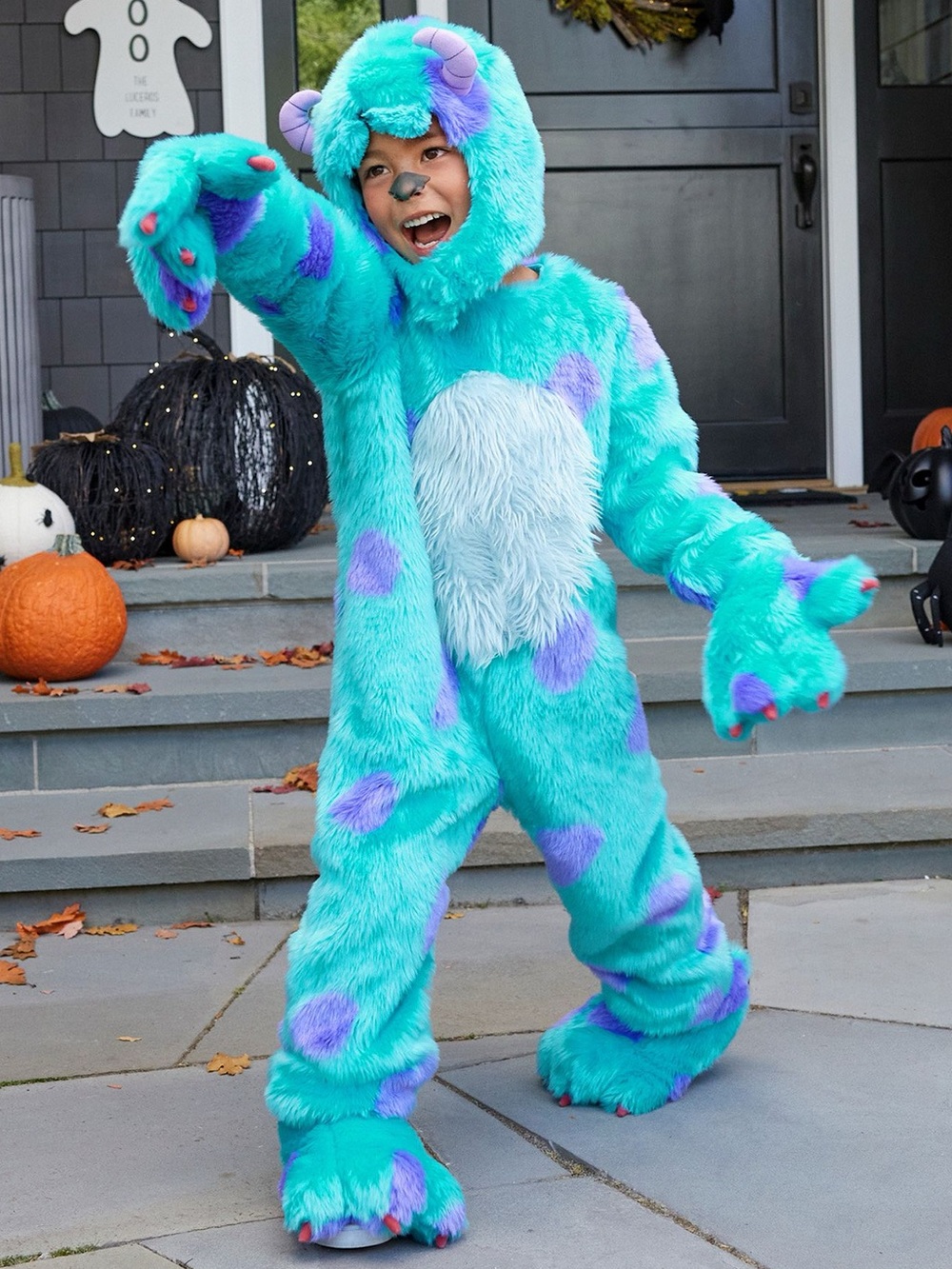 Pottery Barn- Monsters, Inc. Sulley
